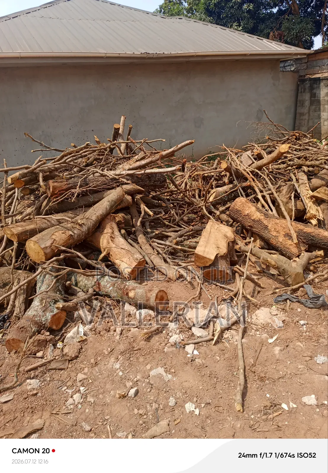 Firewood for Sell