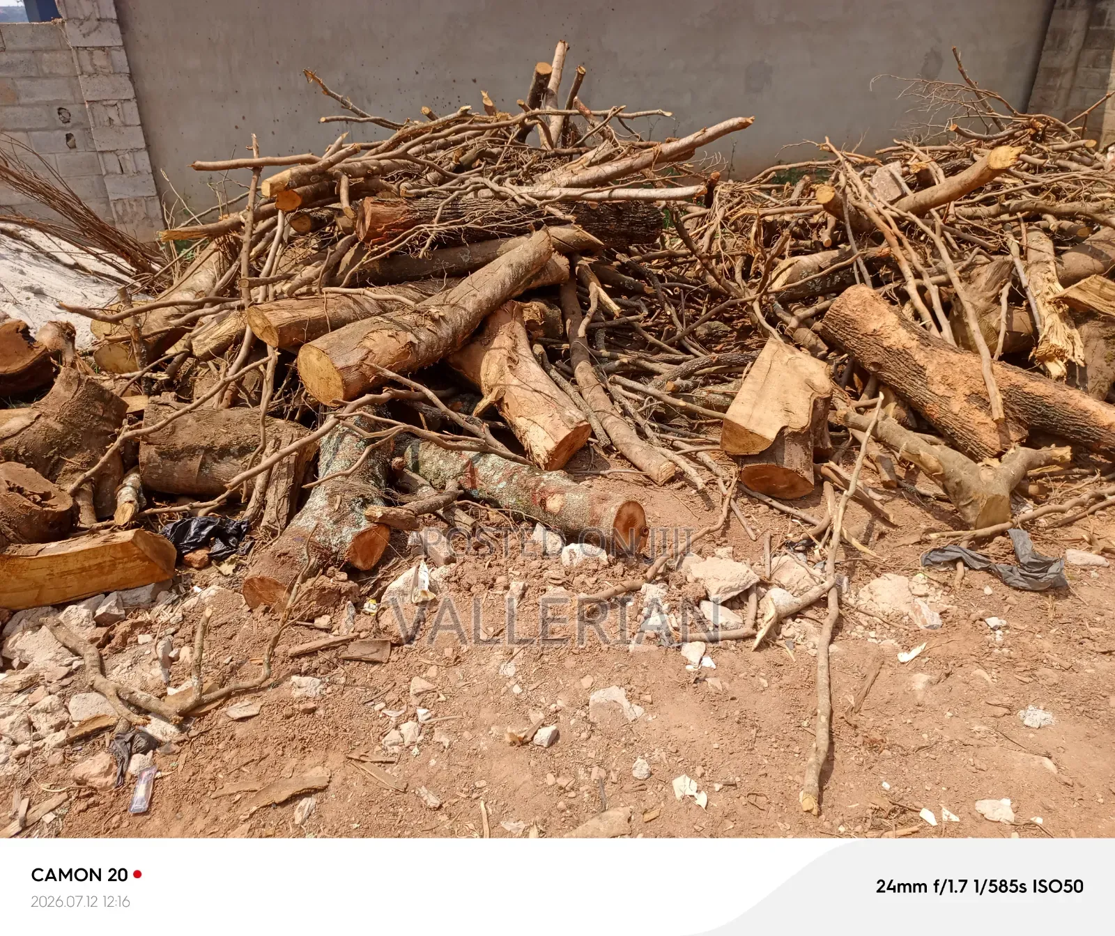 Firewood for Sell