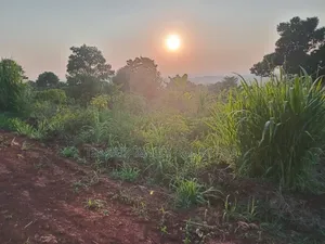 Land in Kyagwe for Sale