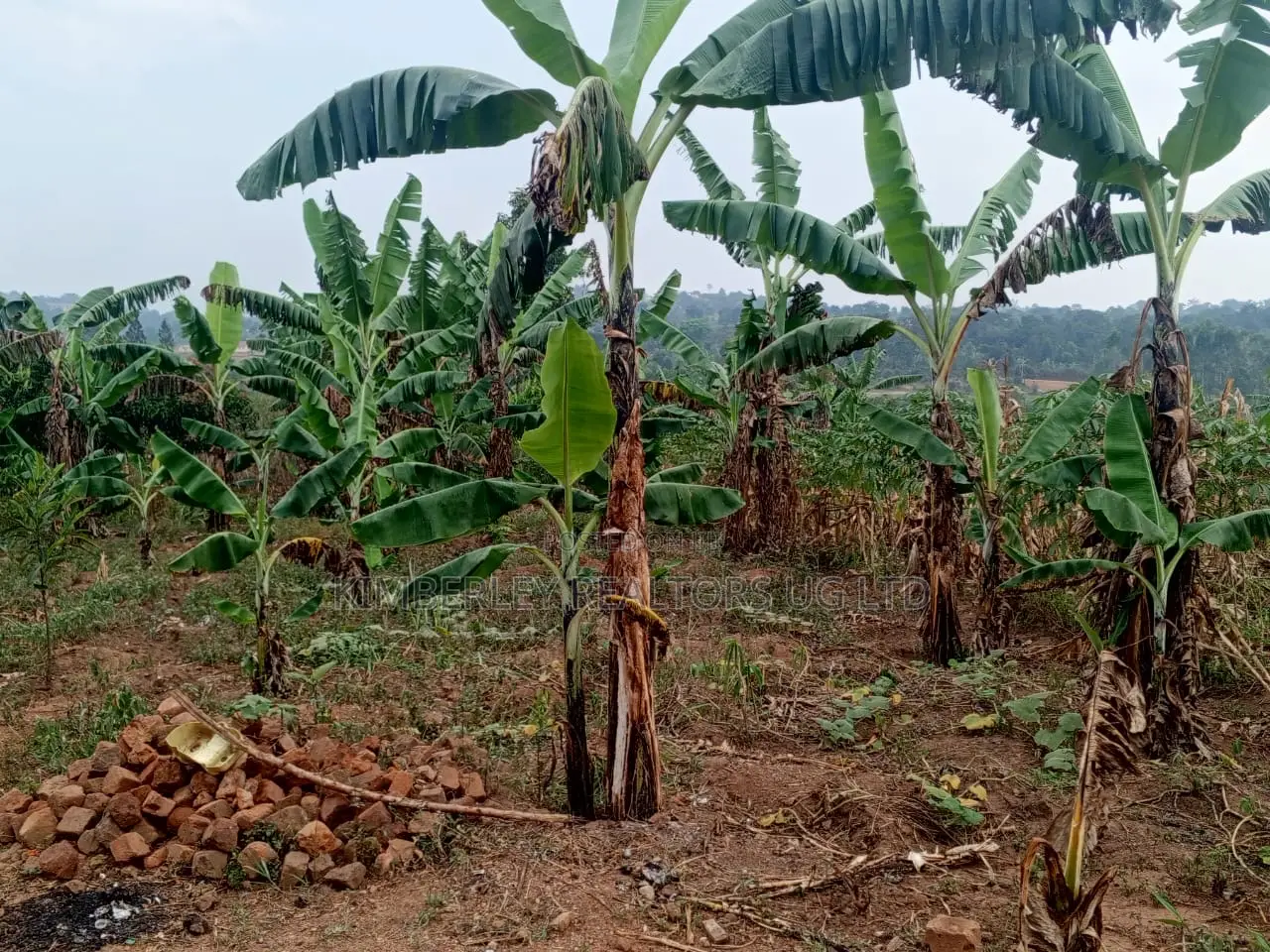 Land for Sale – Migadde Kakelenge, Bombo Road