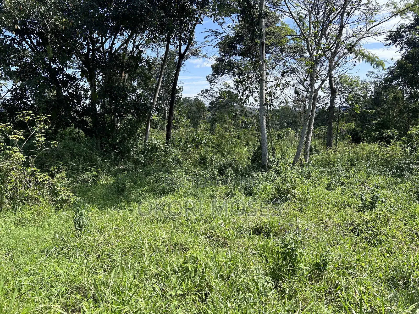 Plot of Land for Sale