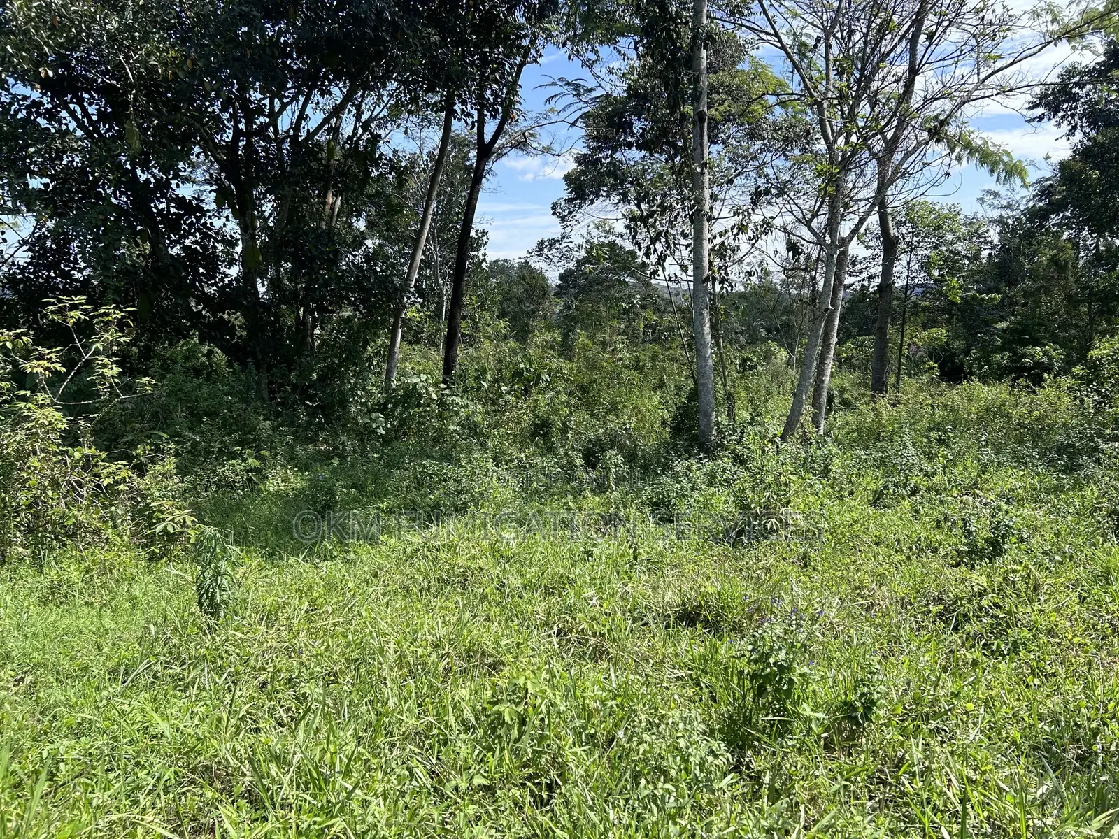 Plot of Land for Sale