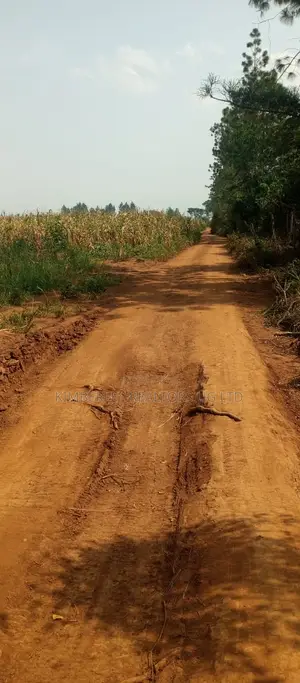 Land for Sale – Luweero