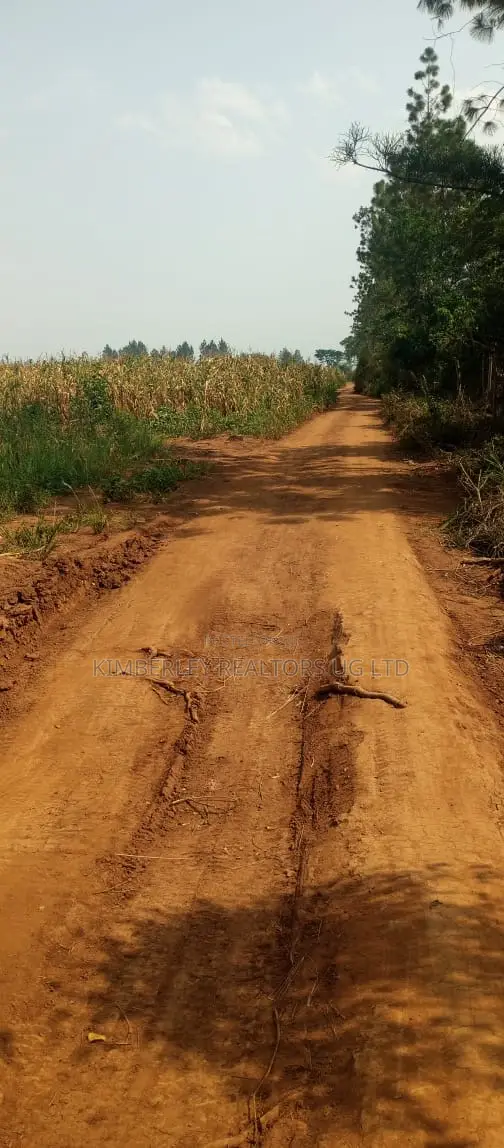 Land for Sale – Luweero