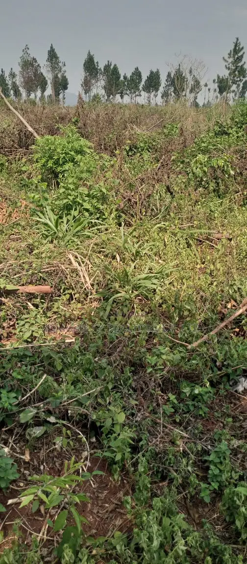 Land for Sale – Luweero