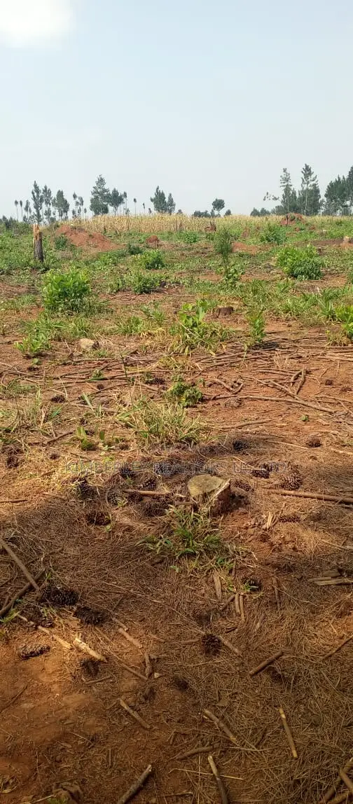 Land for Sale – Kira Parliamentary Sacco