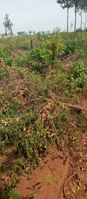 Land for Sale – Kira Parliamentary Sacco