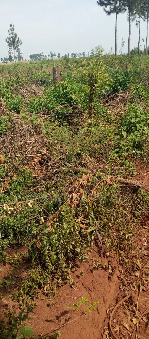 Land for Sale – Kira Parliamentary Sacco