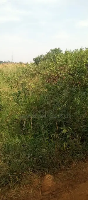  Land for Sale – Ntinda Kissasi Road