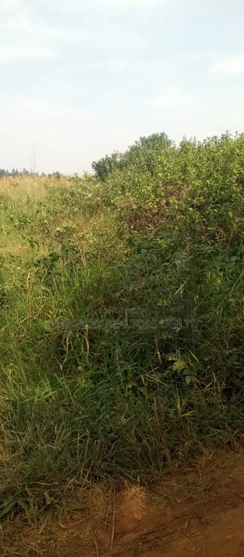  Land for Sale – Ntinda Kissasi Road