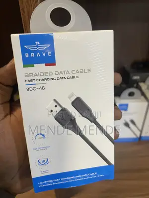 Brave a to Lightning Braided Cable