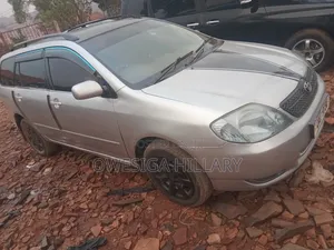 Toyota Corolla Fielder 2004 Silver