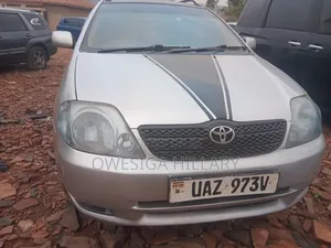 Toyota Corolla Fielder 2004 Silver