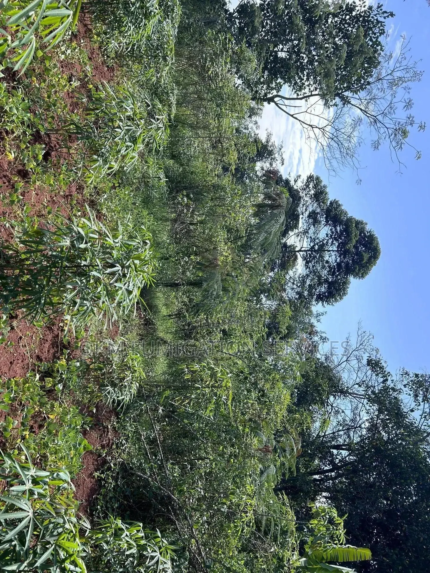 Plot of Land for Sale