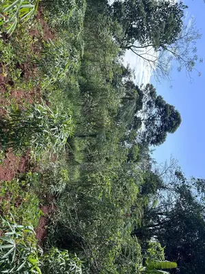 Plot of Land for Sale