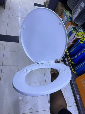 Plastic Toilet Seat