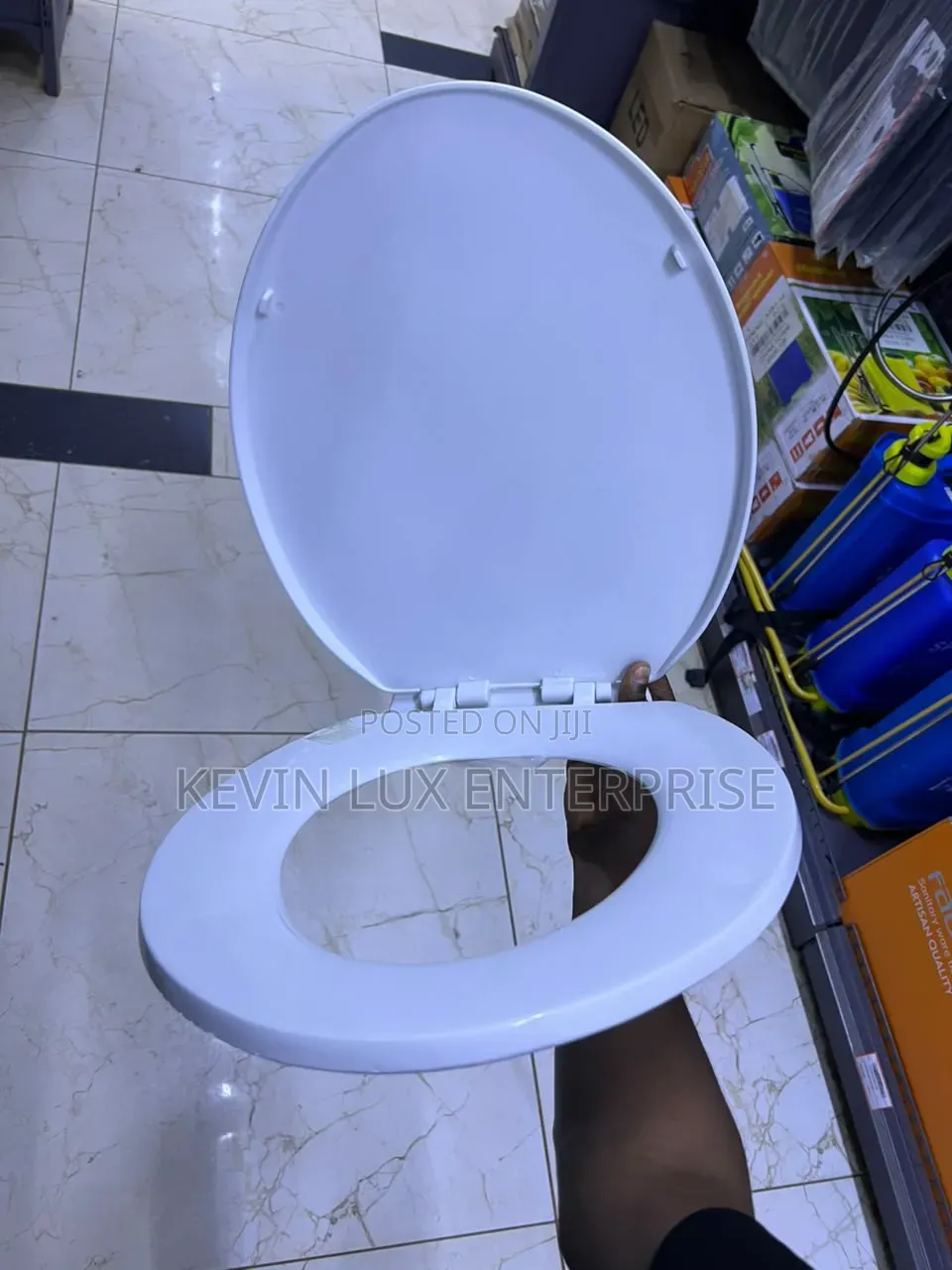 Plastic Toilet Seat