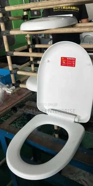 Plastic Toilet Seat