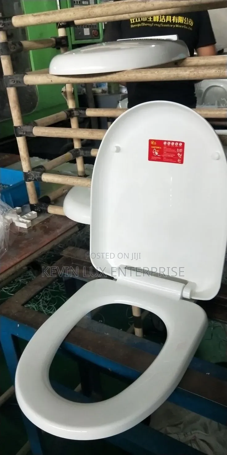 Plastic Toilet Seat