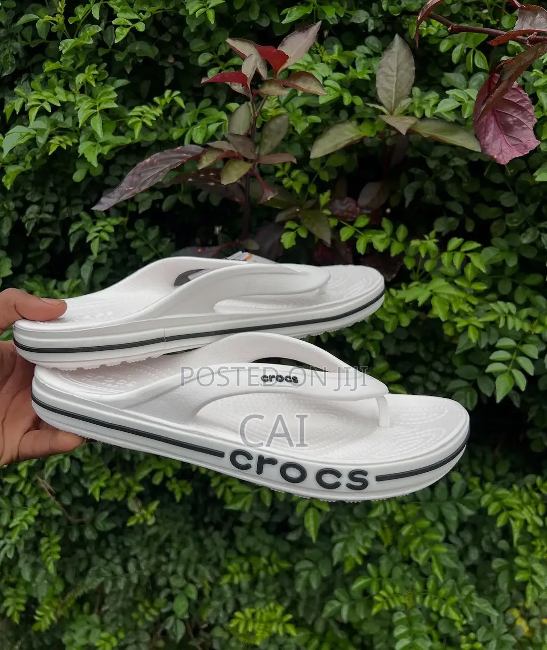 Crocs Bayaband Flip Flops. Crocs Slippers/Sandals