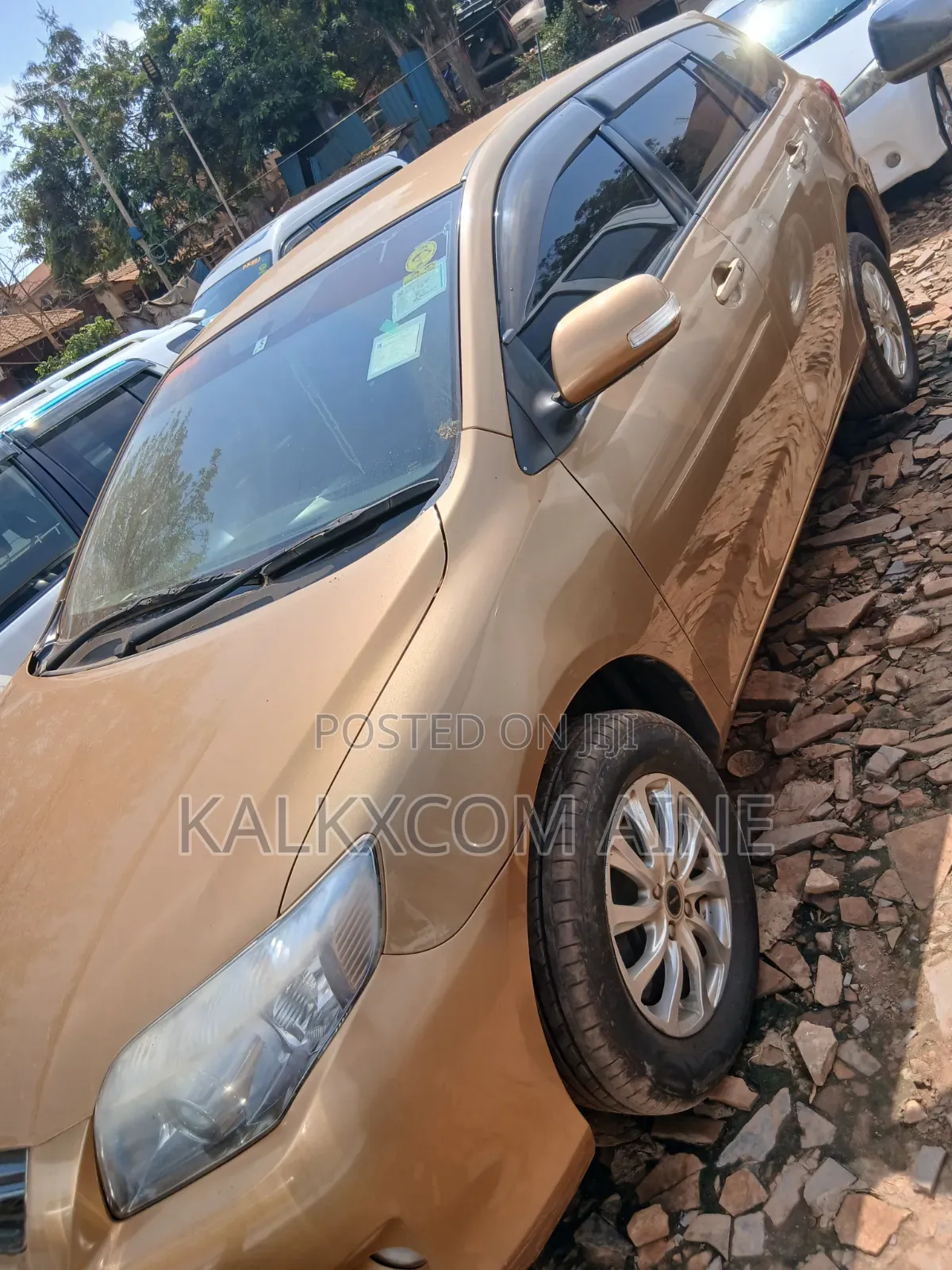 Toyota Corolla Fielder 2010 Gold