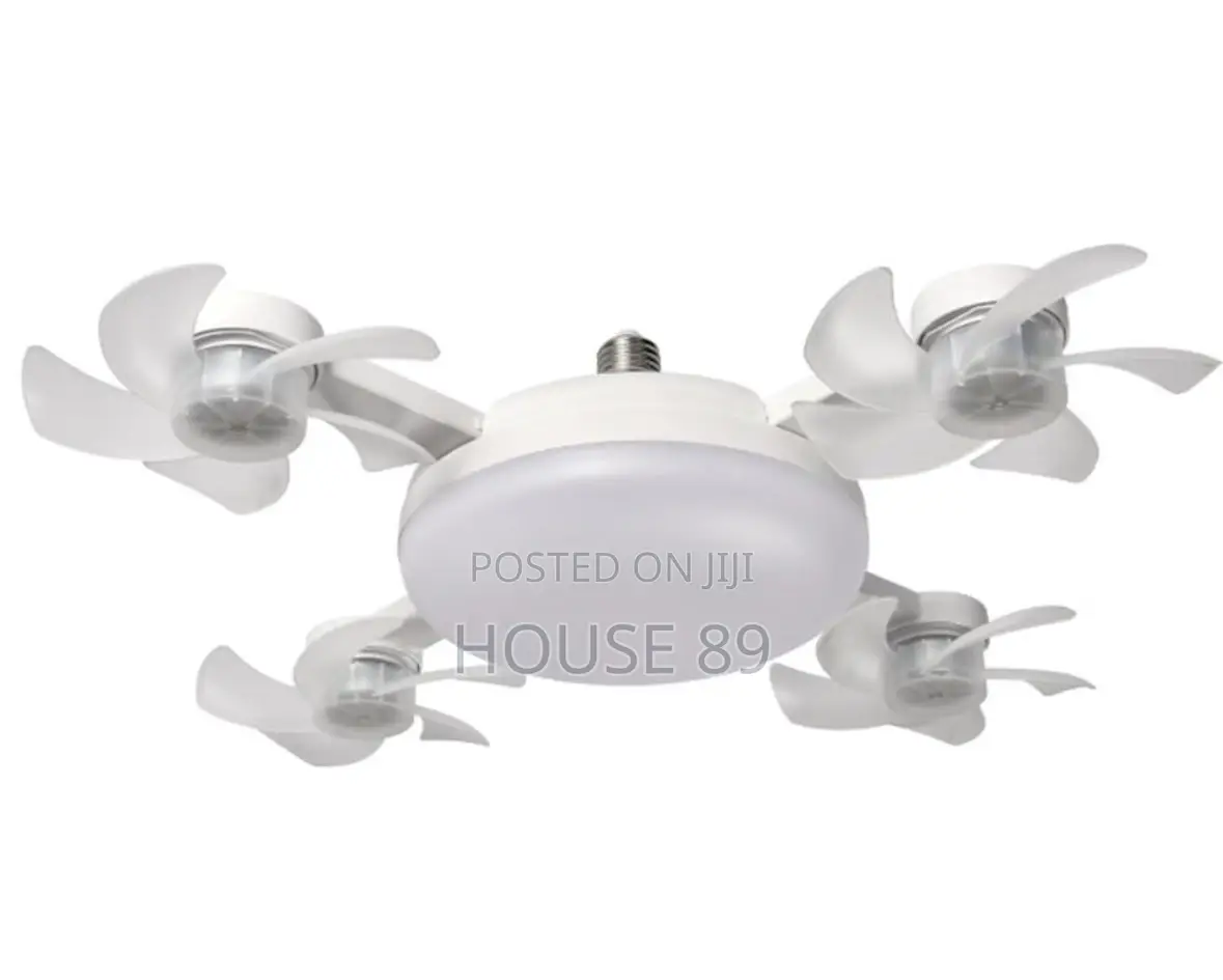 2in 1 Fan and Ceiling Light