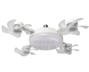 2in 1 Fan and Ceiling Light
