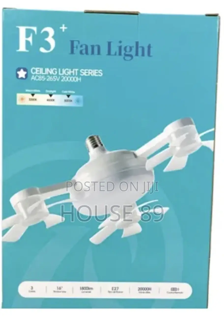 2in 1 Fan and Ceiling Light