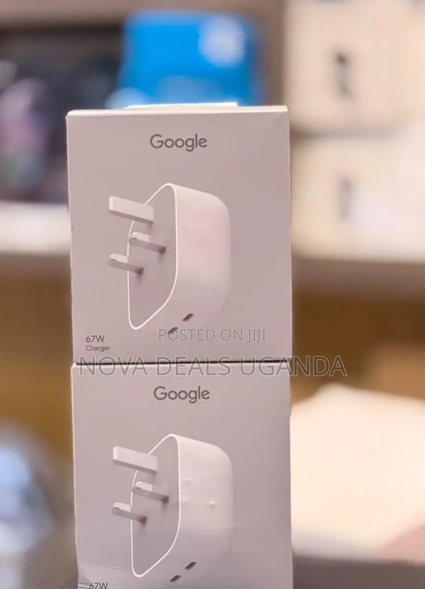 Google Pixel Flex Dual Port Adapter 67W USB-C Fast Charger