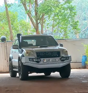 Toyota Land Cruiser 2009 Silver