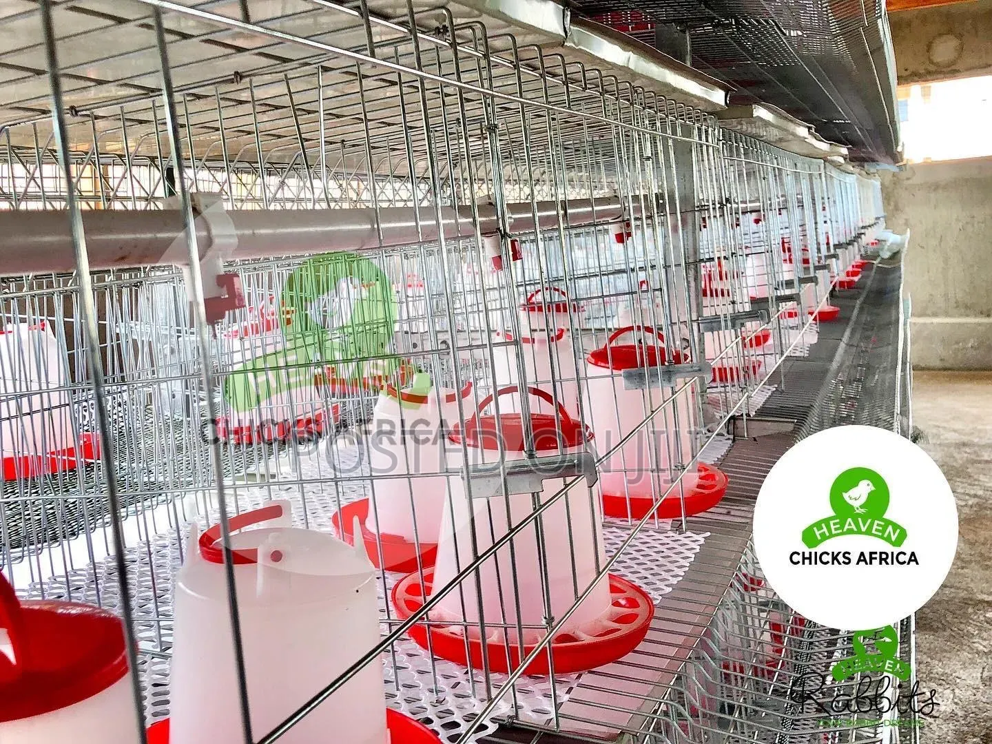 Galvanised Chicken Cage