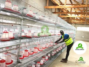 Galvanised Chicken Cage