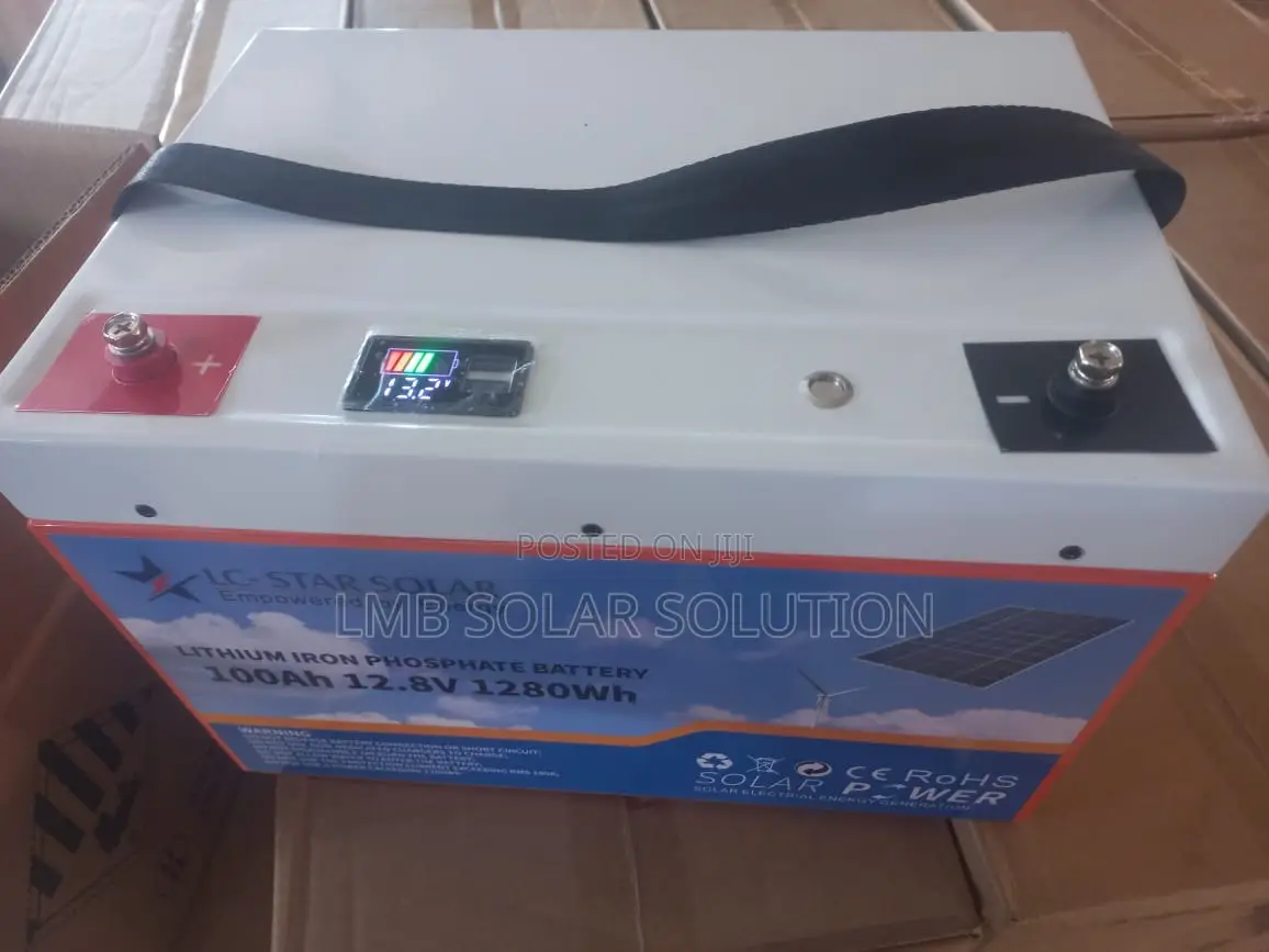 Lithium Iron Phosphate Battery 100Ah