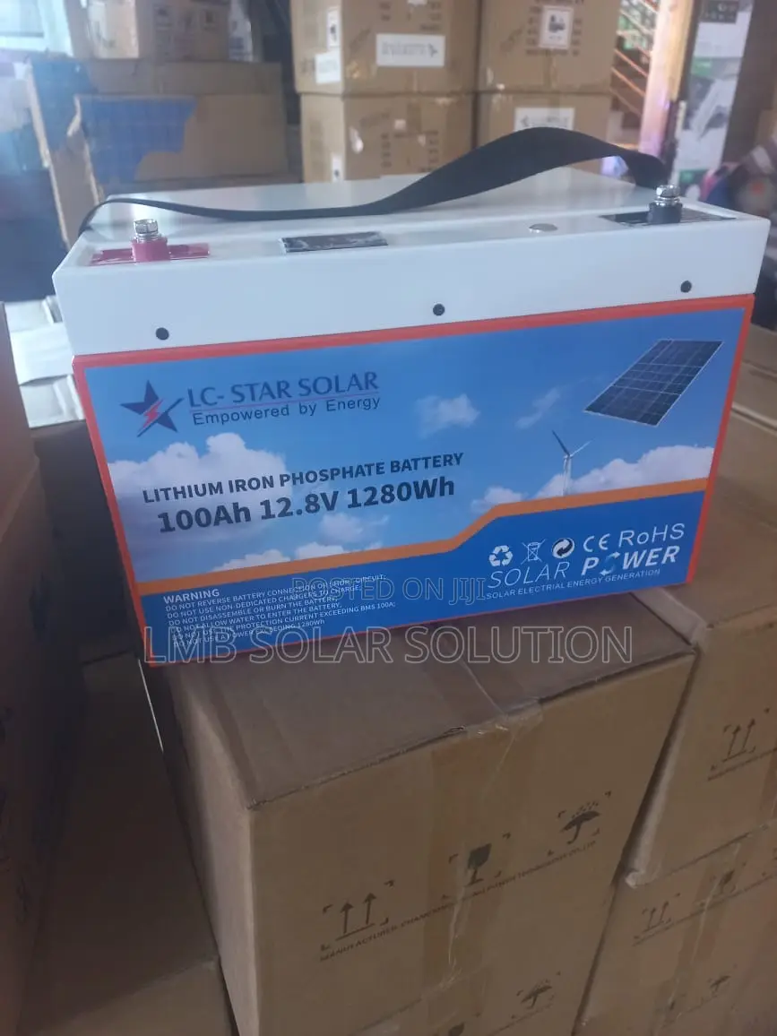 Lithium Iron Phosphate Battery 100Ah