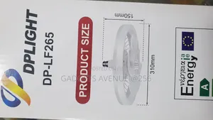 Multifunctional Fan Light