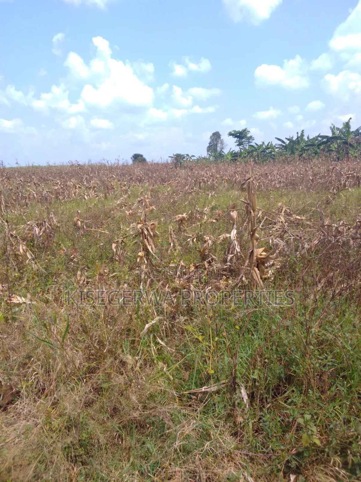 Land for Sale at Kabimbiri Kibamba