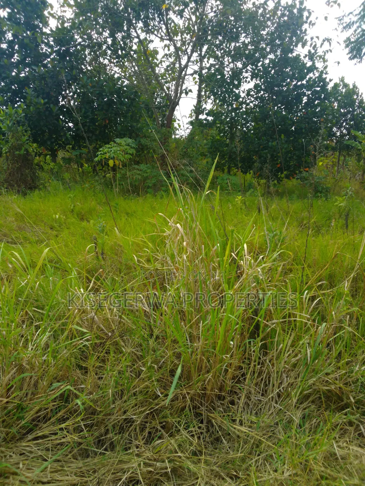 Land for Sale at Kabimbiri Kibamba
