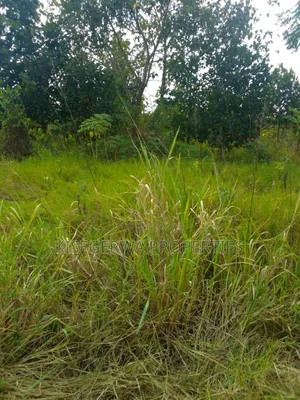 Land for Sale at Kabimbiri Kibamba