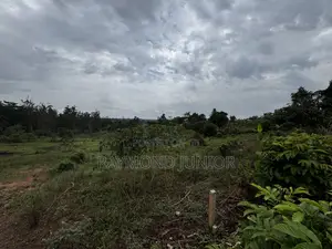 28 Decimals of Land for Sale in Gayaza Makenke