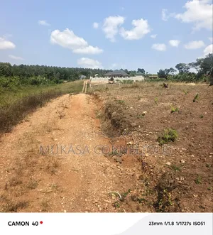 Affordable Plots at Buwalula Mityana Road