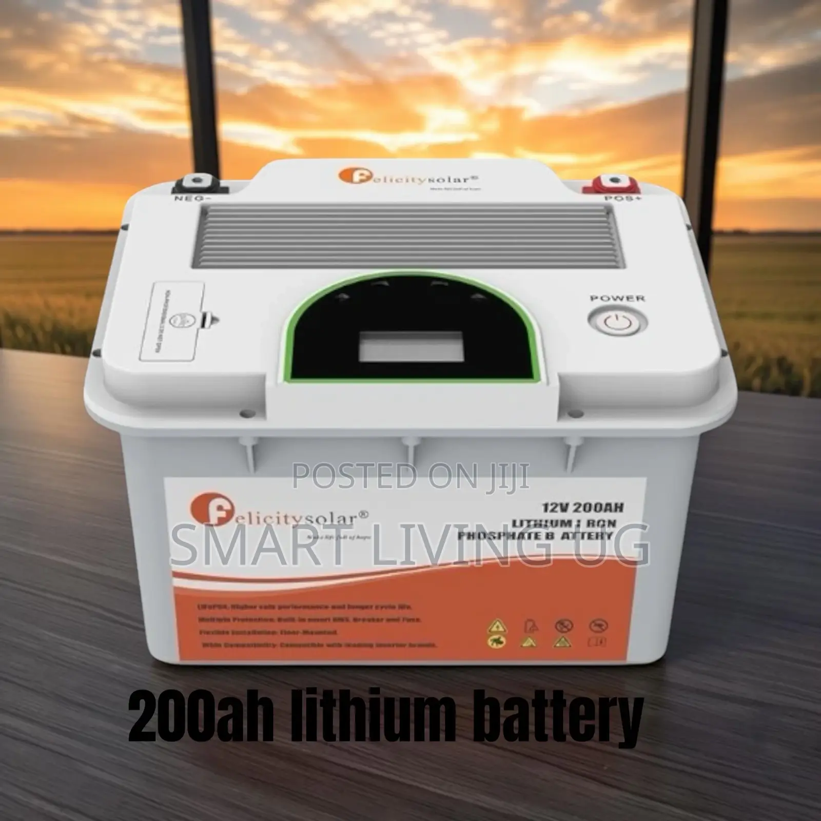 Heavy-Duty 200Ah 12V Felicity Lithium Battery for Backup Systems