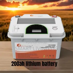 Heavy-Duty 200Ah 12V Felicity Lithium Battery for Backup Systems