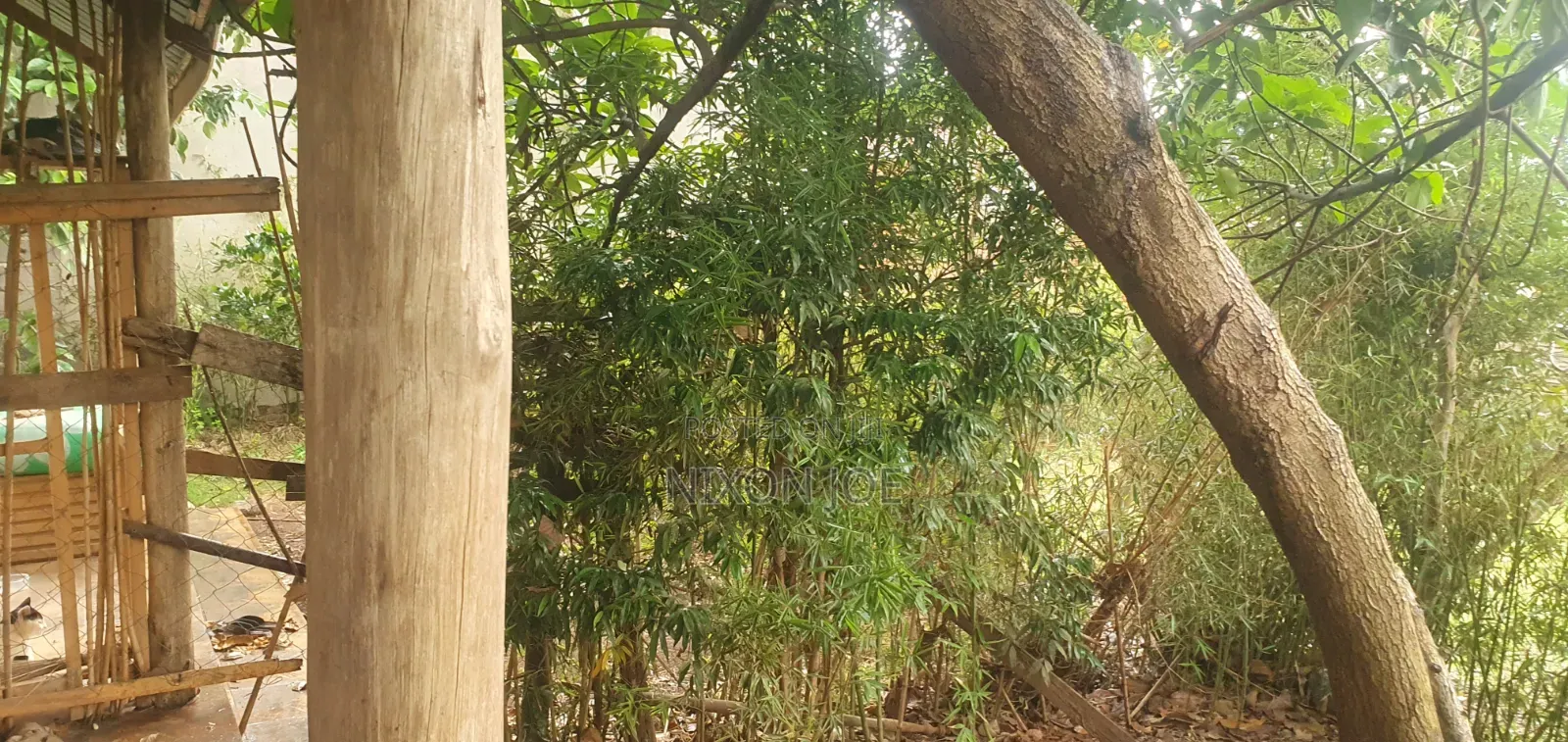 Bamba Kitagobya