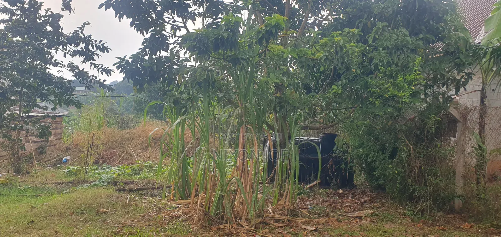 Bamba Kitagobya
