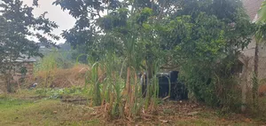 Bamba Kitagobya