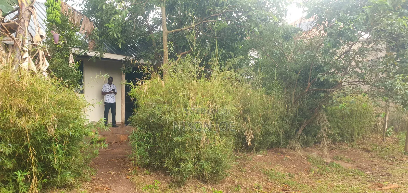 Bamba Kitagobya