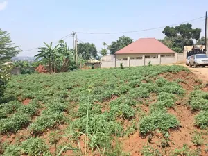 Prime Land of 15 Decimals for Sale in Namugongo.