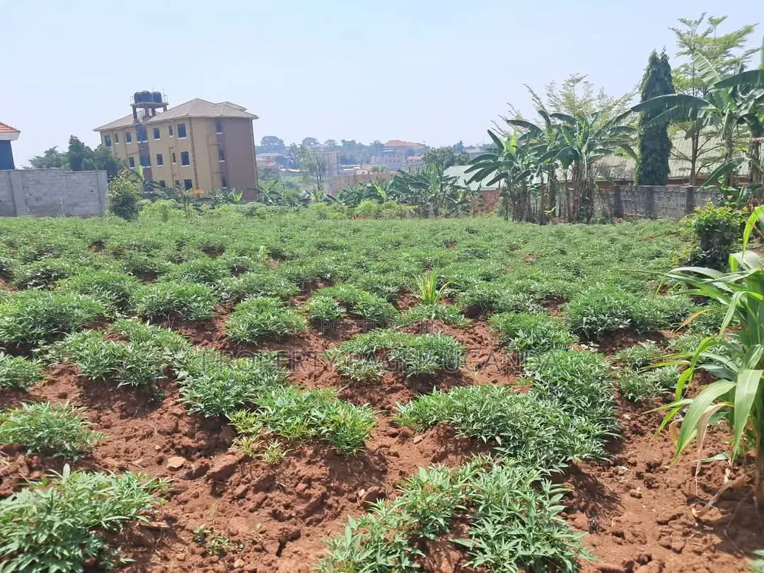 23 Decimals for Sale in Kira-Mulawa