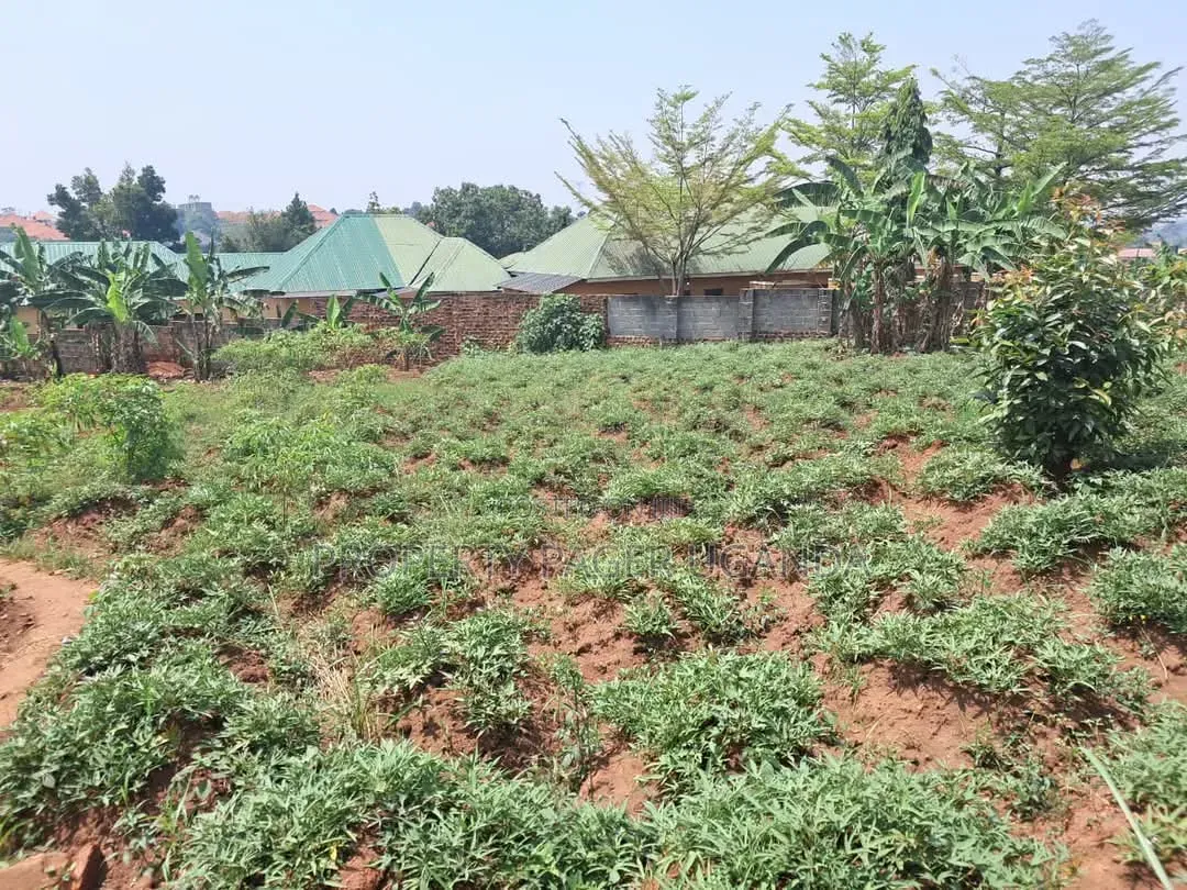 23 Decimals for Sale in Kira-Mulawa