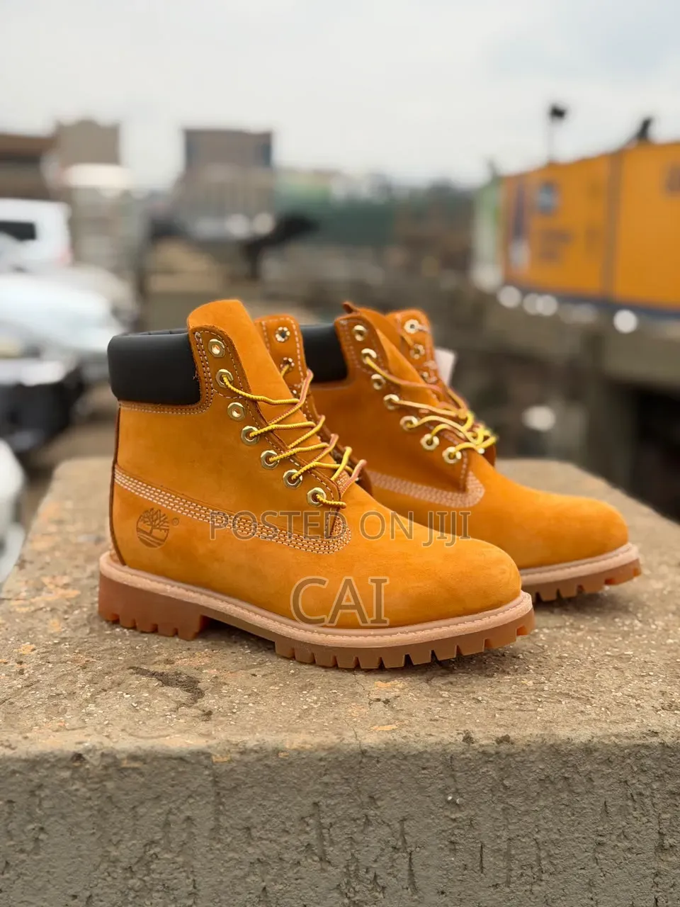 Timberland Premium 6-Inch Boots,brown, Grey, and the Classic Wheat.